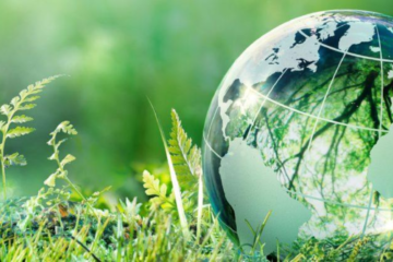 PME - Eco-Friendly Events by Panache in Dubai